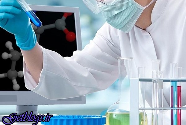 داروی تازه کم کردن ریسک حمله قلبی از طریق میکروب های روده